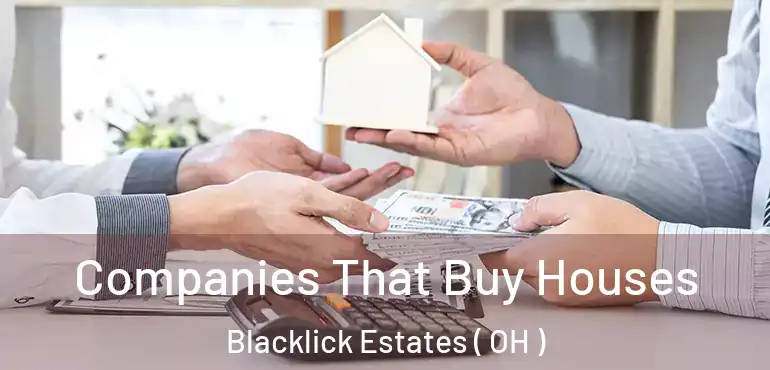  Companies That Buy Houses Blacklick Estates ( OH )