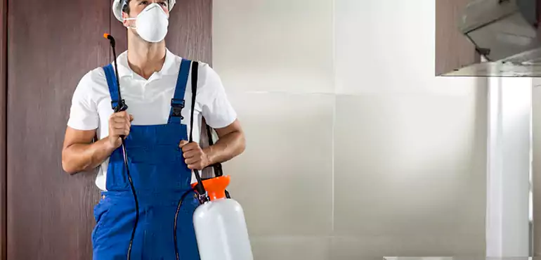 Why South Euclid Homeowners Choose Us When Pests Make Selling Difficult