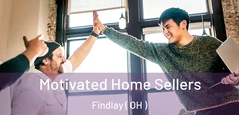  Motivated Home Sellers Findlay ( OH )