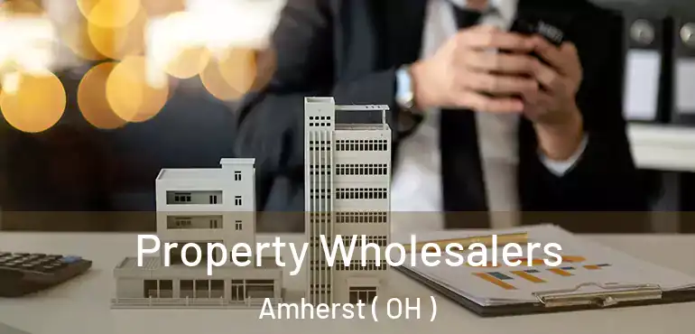  Property Wholesalers Amherst ( OH )