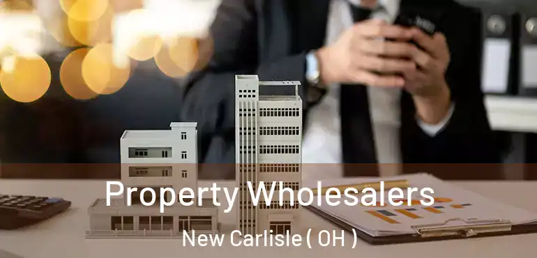  Property Wholesalers New Carlisle ( OH )