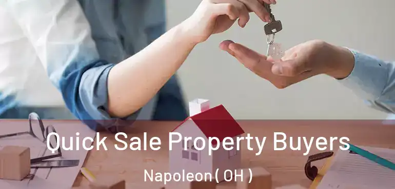  Quick Sale Property Buyers Napoleon ( OH )