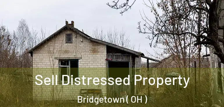  Sell Distressed Property Bridgetown ( OH )