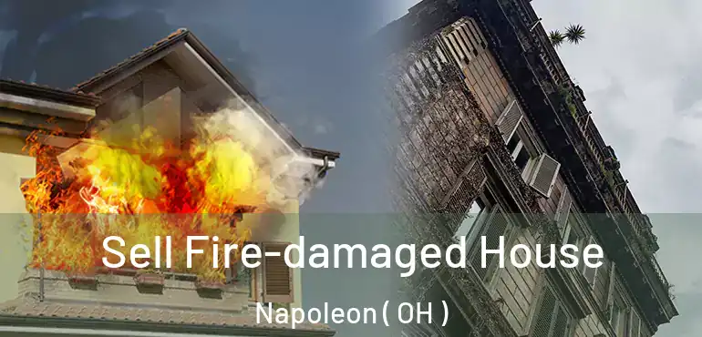  Sell Fire-damaged House Napoleon ( OH )