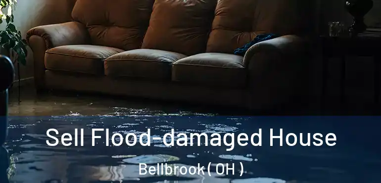  Sell Flood-damaged House Bellbrook ( OH )