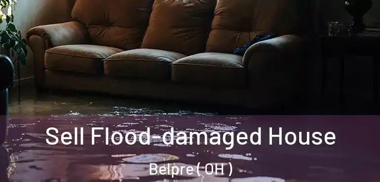  Sell Flood-damaged House Belpre ( OH )