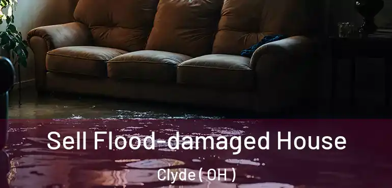  Sell Flood-damaged House Clyde ( OH )