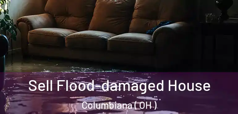  Sell Flood-damaged House Columbiana ( OH )