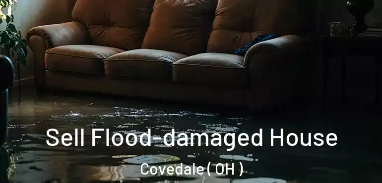  Sell Flood-damaged House Covedale ( OH )