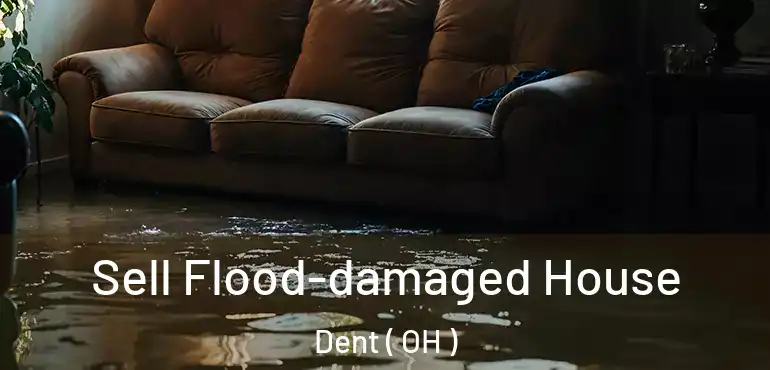  Sell Flood-damaged House Dent ( OH )