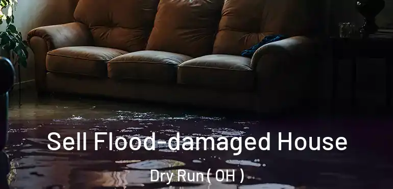  Sell Flood-damaged House Dry Run ( OH )