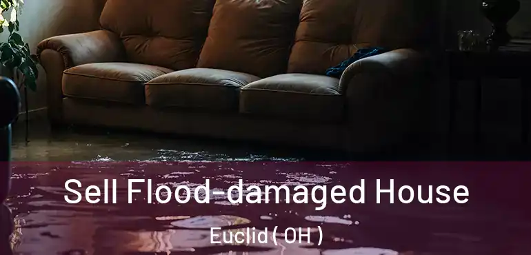  Sell Flood-damaged House Euclid ( OH )