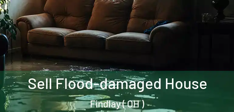  Sell Flood-damaged House Findlay ( OH )