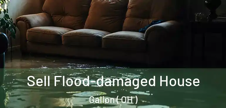  Sell Flood-damaged House Galion ( OH )