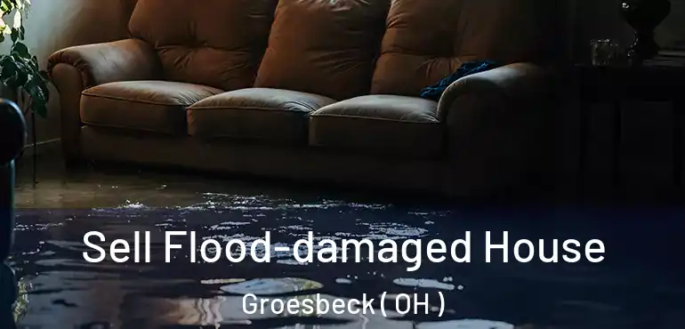  Sell Flood-damaged House Groesbeck ( OH )