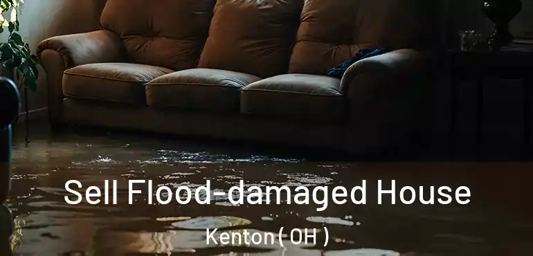  Sell Flood-damaged House Kenton ( OH )