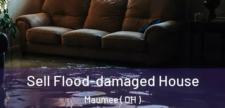  Sell Flood-damaged House Maumee ( OH )