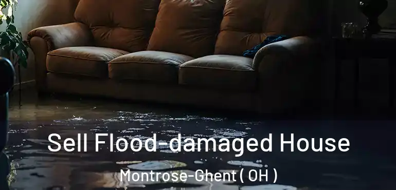  Sell Flood-damaged House Montrose-Ghent ( OH )