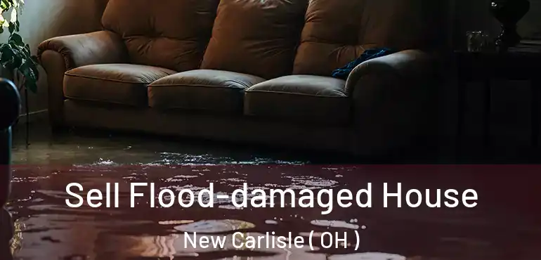  Sell Flood-damaged House New Carlisle ( OH )