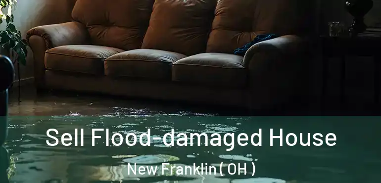  Sell Flood-damaged House New Franklin ( OH )