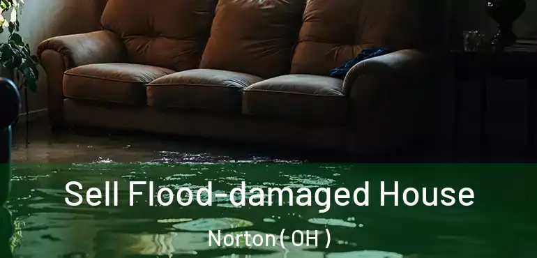  Sell Flood-damaged House Norton ( OH )