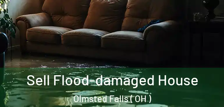  Sell Flood-damaged House Olmsted Falls ( OH )