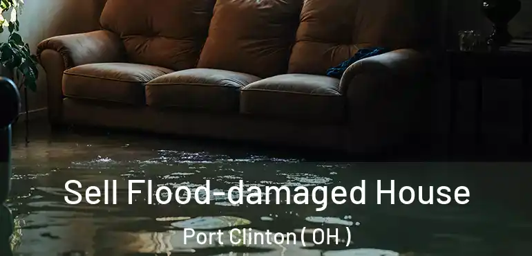 Sell Flood-damaged House Port Clinton ( OH )