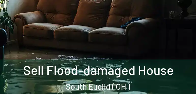  Sell Flood-damaged House South Euclid ( OH )