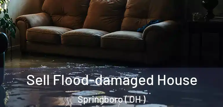  Sell Flood-damaged House Springboro ( OH )