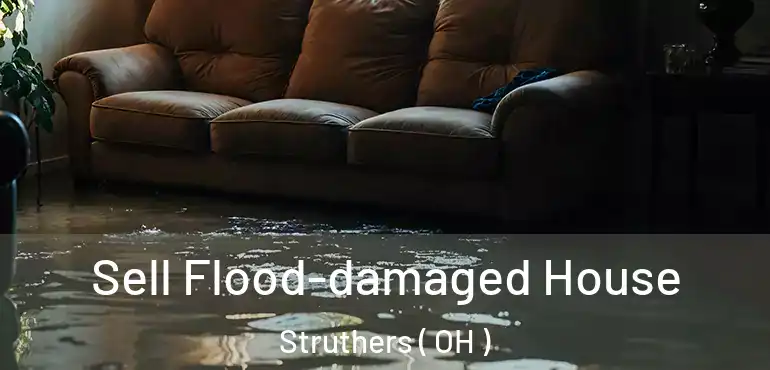  Sell Flood-damaged House Struthers ( OH )
