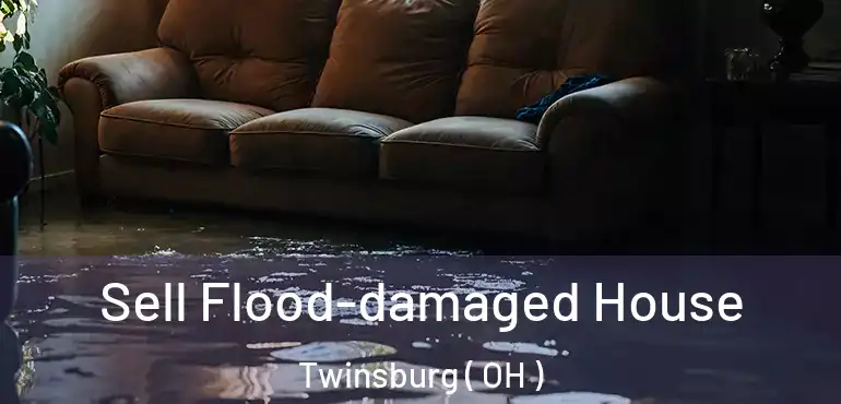  Sell Flood-damaged House Twinsburg ( OH )