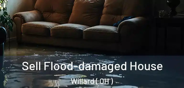  Sell Flood-damaged House Willard ( OH )