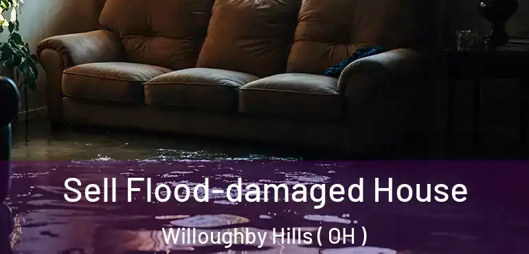  Sell Flood-damaged House Willoughby Hills ( OH )