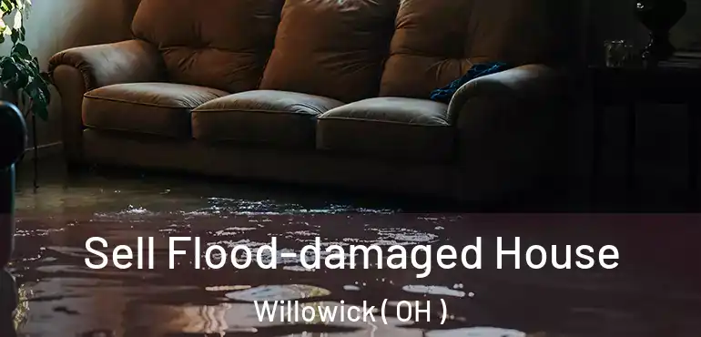  Sell Flood-damaged House Willowick ( OH )