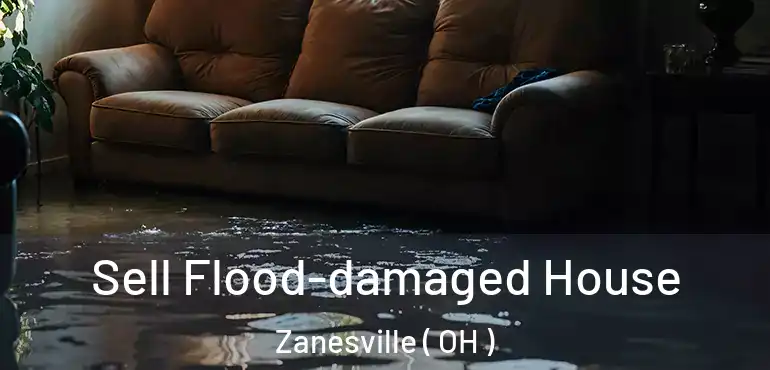  Sell Flood-damaged House Zanesville ( OH )