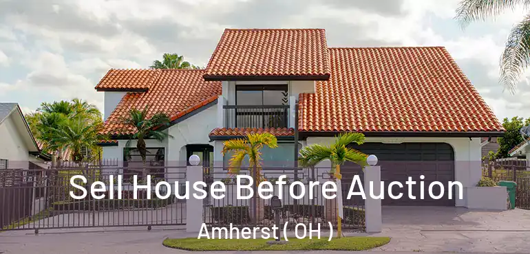 Sell House Before Auction Amherst ( OH )