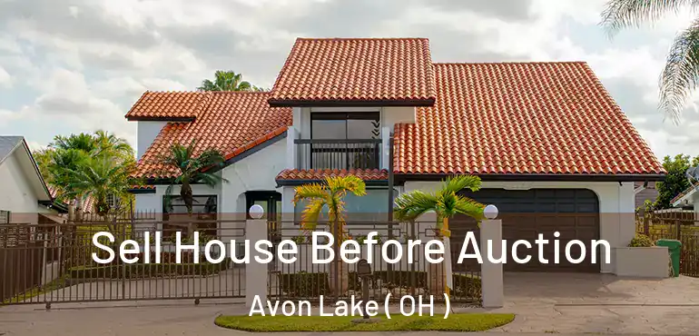  Sell House Before Auction Avon Lake ( OH )