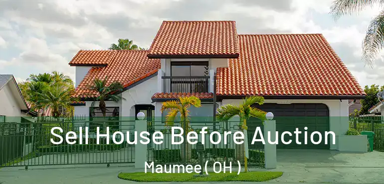  Sell House Before Auction Maumee ( OH )