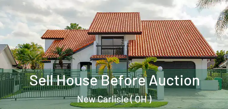  Sell House Before Auction New Carlisle ( OH )