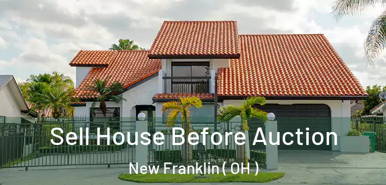  Sell House Before Auction New Franklin ( OH )