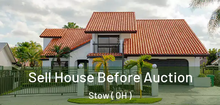  Sell House Before Auction Stow ( OH )
