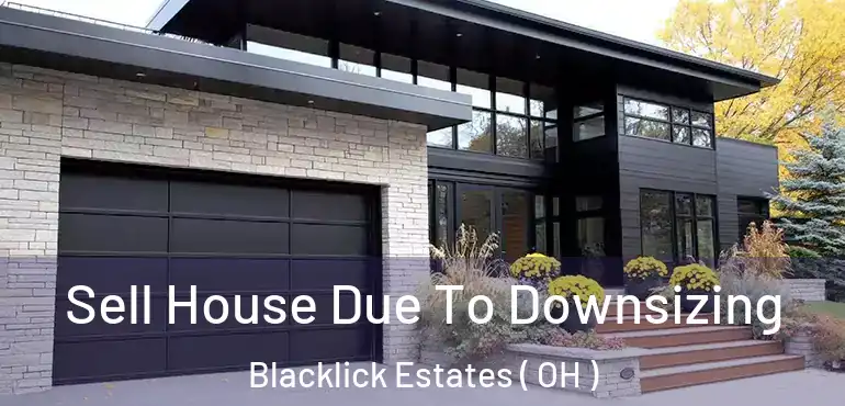  Sell House Due To Downsizing Blacklick Estates ( OH )