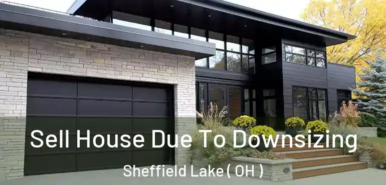  Sell House Due To Downsizing Sheffield Lake ( OH )