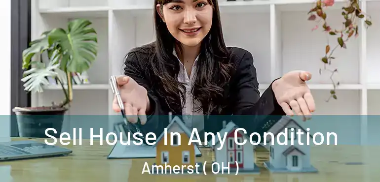  Sell House In Any Condition Amherst ( OH )