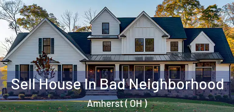  Sell House In Bad Neighborhood Amherst ( OH )
