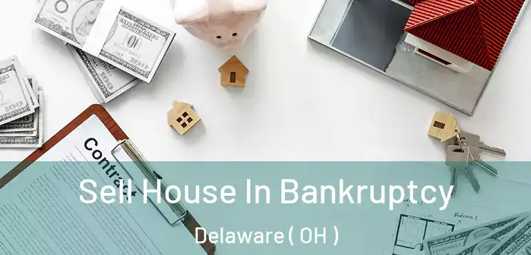  Sell House In Bankruptcy Delaware ( OH )
