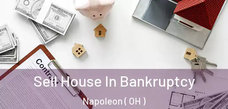  Sell House In Bankruptcy Napoleon ( OH )