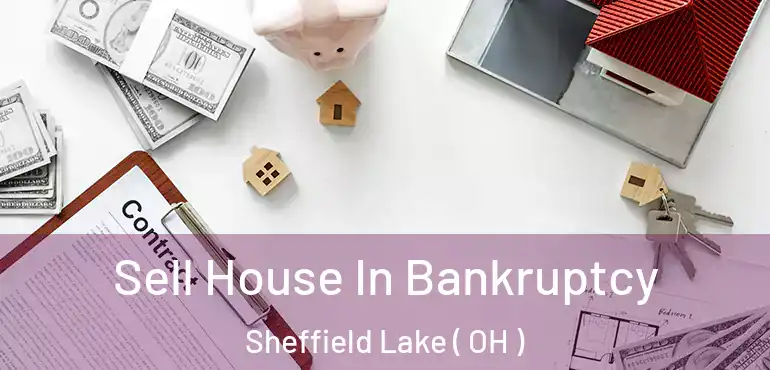  Sell House In Bankruptcy Sheffield Lake ( OH )
