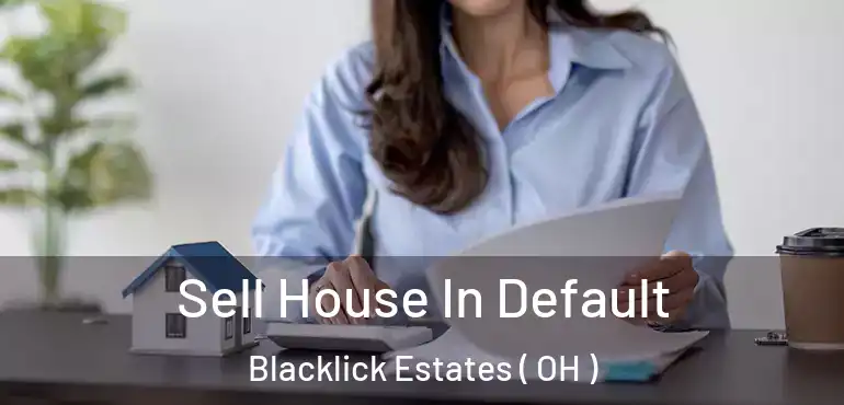  Sell House In Default Blacklick Estates ( OH )