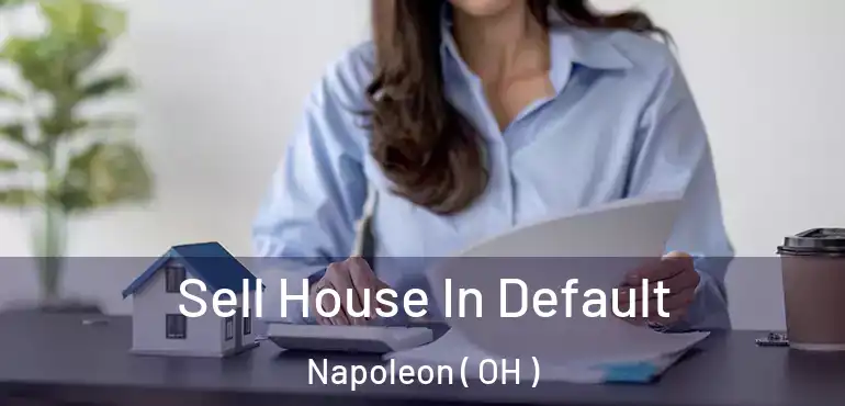  Sell House In Default Napoleon ( OH )
